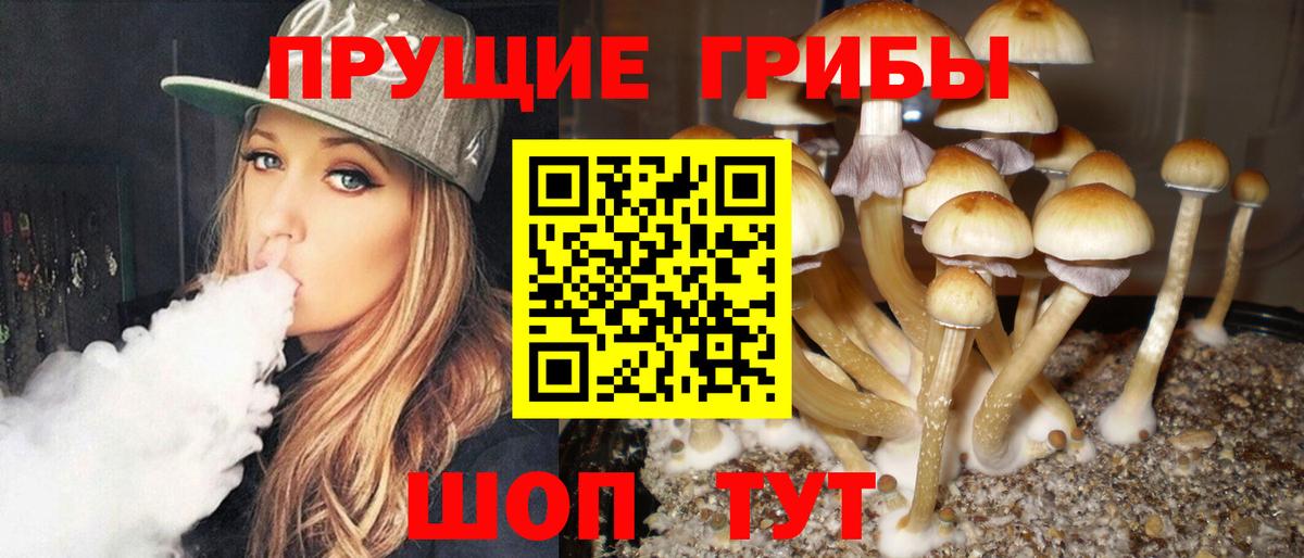 Псилоцибиновые грибы Cubensis  Вход с VPN  Шелехов 